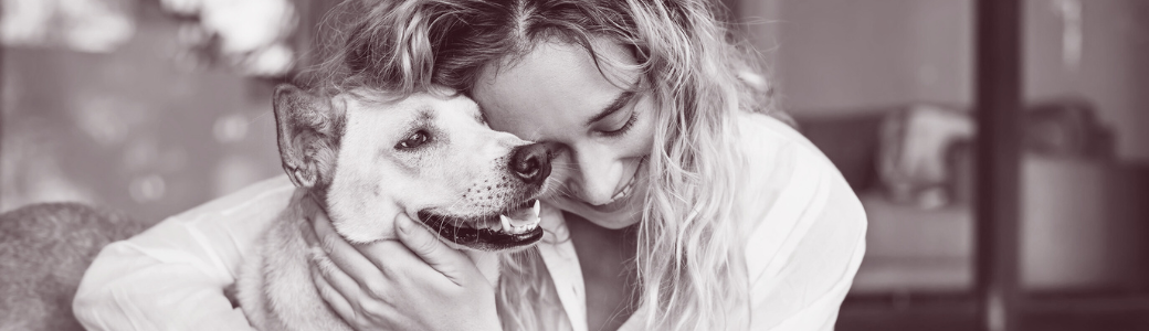 The Benefits of Using CBD-Based Products for Pets: A Calming Solution for Stressful Situations