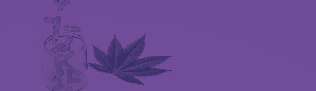 The Complete Guide to CBD Extraction Methods