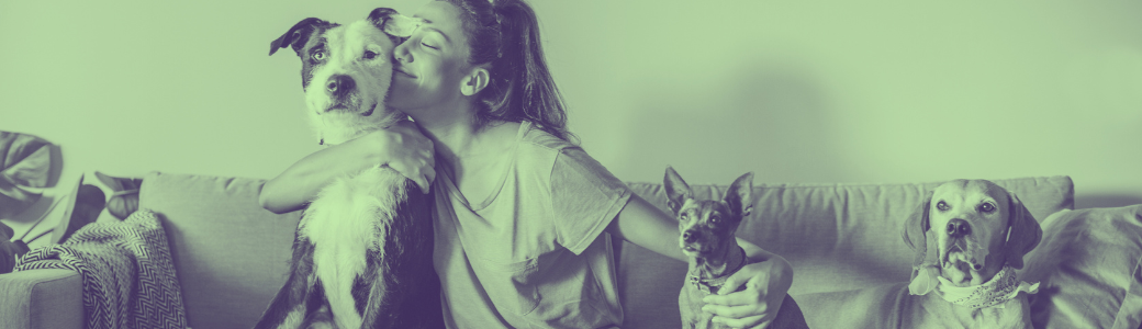 CBD for Pets: Safe, Natural Support for Anxiety and Pain