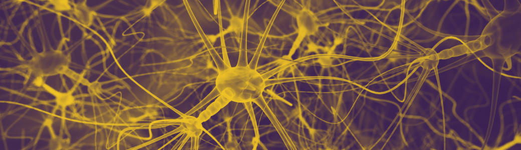 How Long Does CBD Stay in Your System? Timing, Dosage & Frequency