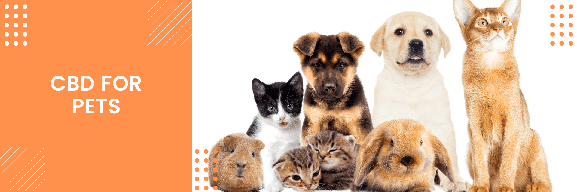 CBD For Pets - Natural Euphoria