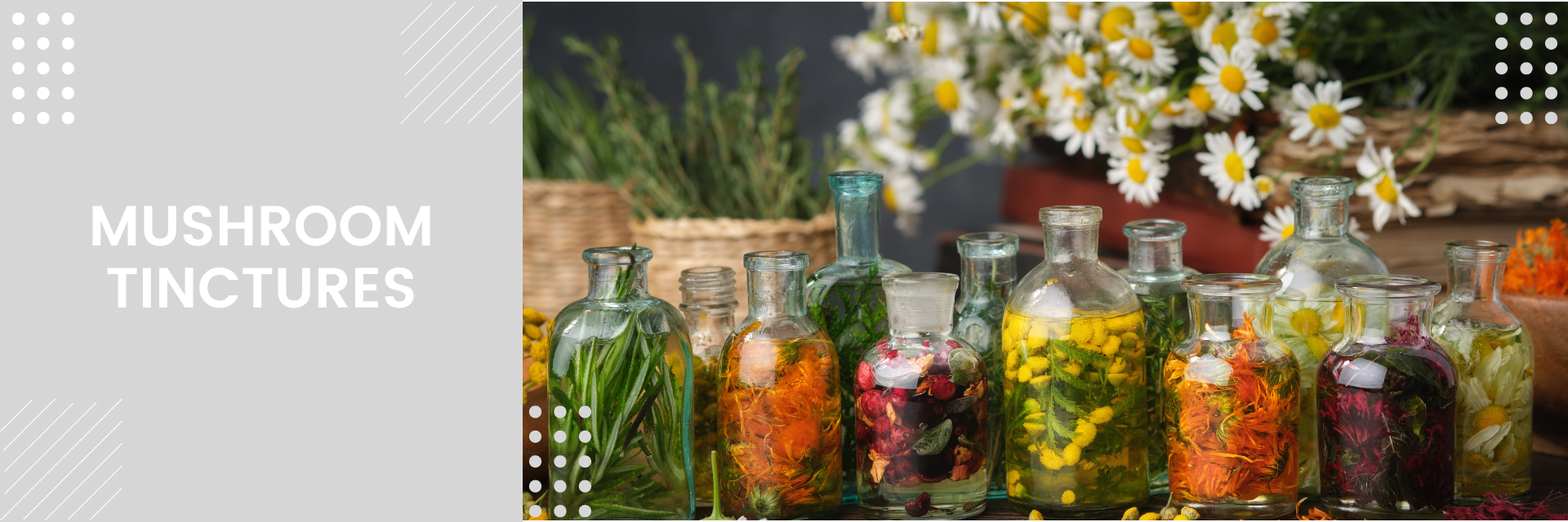 Mushroom Tincture