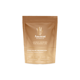 Ancient Extracts Organic Lions Mane Powder - 60g - Natural Euphoria
