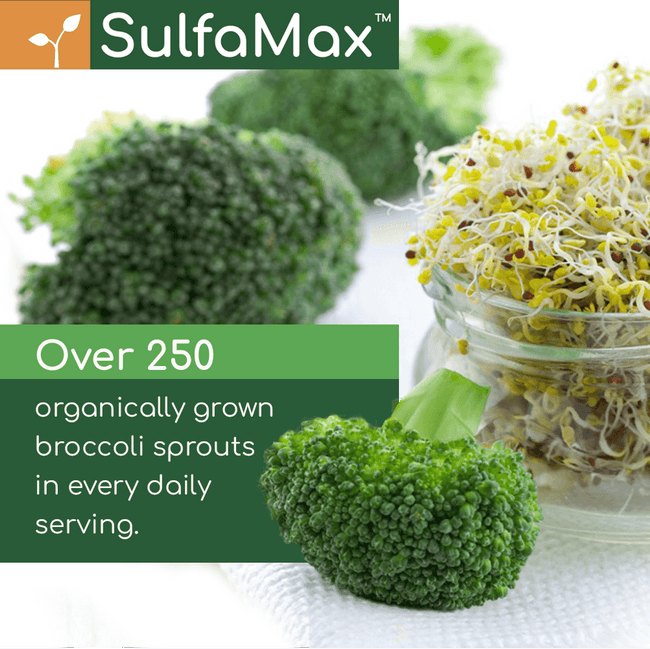 🌱 SulfaMax™  |  3 Month Supply - SAVE 20% on the best sulforaphane supplement