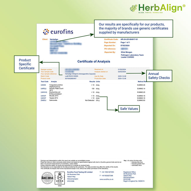Herbalign Shilajit & Ashwagandha Capsules – Natural Vitality, Stamina & Stress Support | 1000mg High-Strength Formula