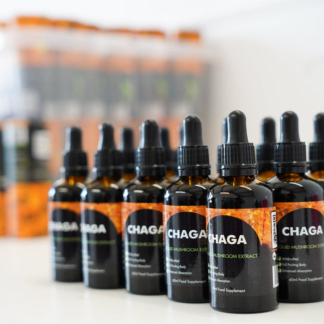Chaga Mushroom Liquid Extract