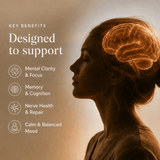 Lion's Mane Mushroom Extract Powder