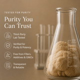 Lion's Mane Mushroom Extract Powder