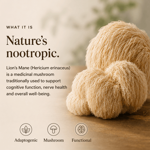 Lion's Mane Mushroom Extract Powder