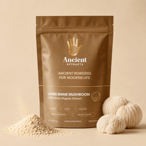 Lion's Mane Mushroom Extract Powder