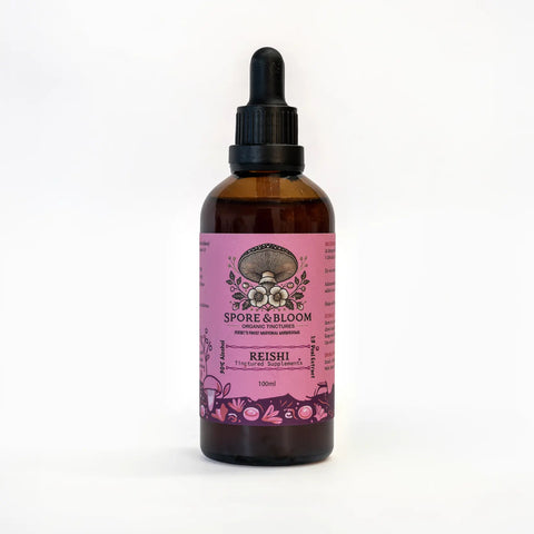 Calm & Focus Stack – Lion’s Mane & Reishi