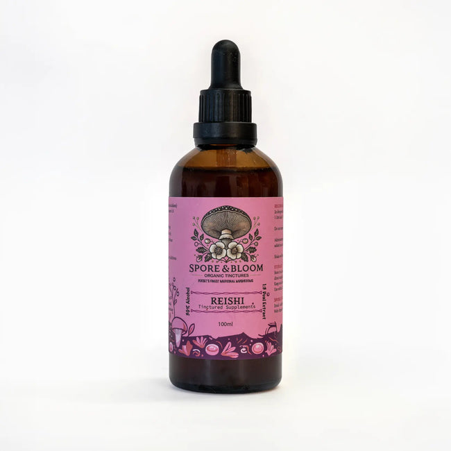 Calm & Focus Stack – Lion’s Mane & Reishi