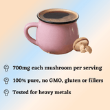 Immune Booster Superfood Bundle